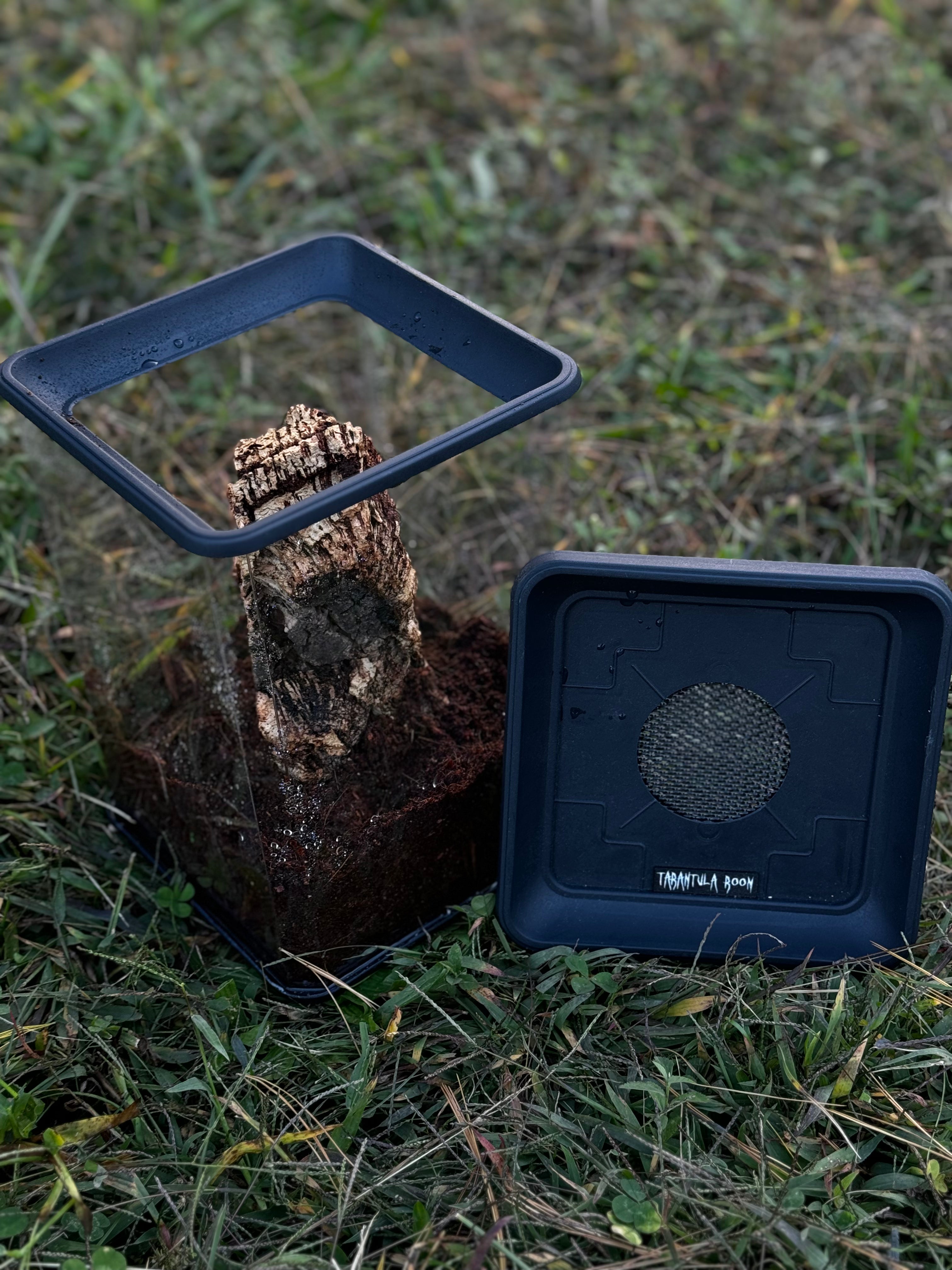 Tarantula Room Enclosures