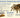 Quick Starter Tarantula Care Sheet by Exotics Unlimited