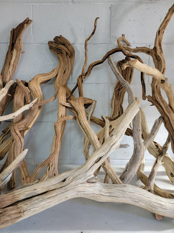Manzanita ghost wood hardscape branch.
