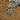 Ornithoctoninae sp. Hon-sej, Blue Blaze tarantula.