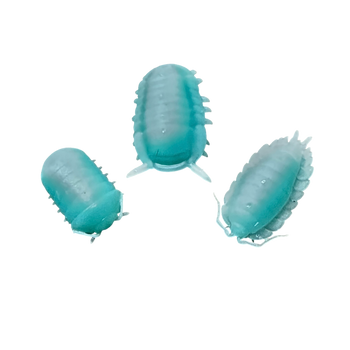 Nano Good Luck isopods.