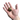 Ala Pods