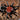 Bumba horrida, Brazilian Red Head tarantula.