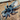 Thrixopelma cyaneolum blue, Peruvian Royal Blue tarantula.