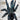 Avicularia sp. Metallica M6, Metallic Pink Toe tarantula.