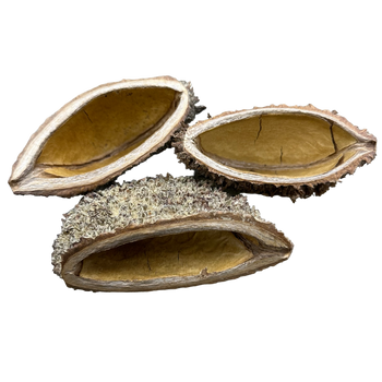 Bolsa Pod