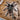 Euathlus sp. 'Hermosa' (Chilean Emerald Beauty Tarantula) 1"+ Holdback Release