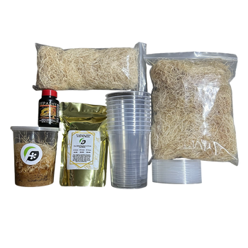 FrogDaddy Complete GOLD Fruit Fly Culturing Kit