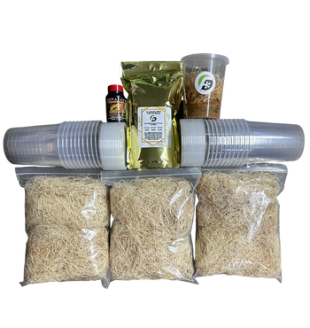 FrogDaddy Complete GOLD Fruit Fly Culturing Kit
