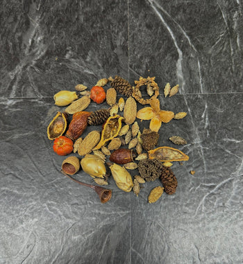 Botanical Bounty Bag, mixed botanical variety pack.