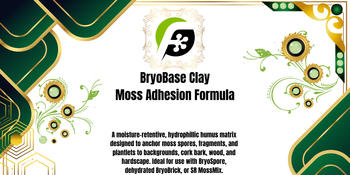 BryoBase - Moss Adhesion Layer