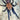 Chilobrachys sp. 'South Thailand' Tarantula 0.75-1"