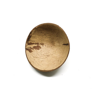 Coconut Half Shell