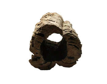 Natural Cork Bark Rounds