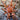 Devicarina guidonae (Orange Blaze Dwarf Tarantula) *Worlds First Breeding*