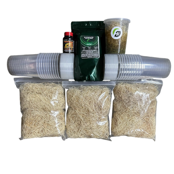 FrogDaddy Complete HF GreenFuel PRO Fruit Fly Culturing Kit