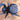 Eresus walckenaeri (Mediterranean Velvet Spider) 1/8-1/4"