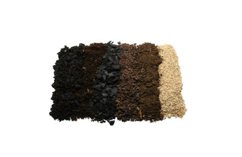 FrogDaddy FaunaReady LIVE Tropical Vivarium Substrate