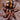 Hapalopus formosus, Pumpkin Patch tarantula.
