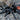 Hapalotremus marcapata, Peruvian Highland Blue tarantula, 0.75 to 1 inch.