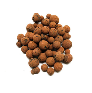 Hydroton clay drainage balls for vivarium drainage layers.