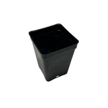 P64 2” Pot