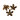 Star Pods