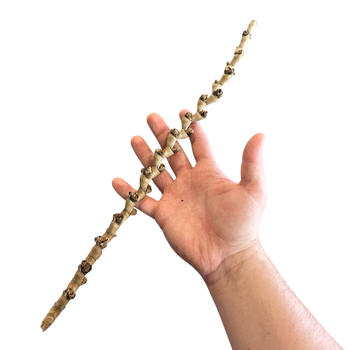 Banana Stick Hardscape