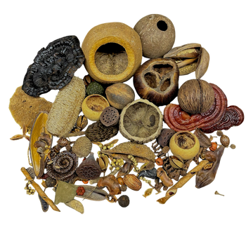 Botanical Bounty Bag, mixed botanical variety pack.