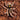 Hapalopus klein (Dwarf Pumpkin Patch Tarantula) 0.33-0.5" RARE