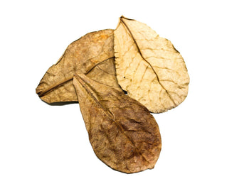 Indian Almond Leaf Litter
