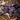Orphnaceus sp 'Marinduque Purple' Tarantula FEMALE 2-2.5"