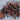 Phlogiellus sp. 'Rusty leg' 