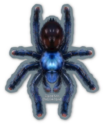 3" Tarantula Sticker Free after $75