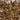 Medium Superworms 1.0-1.5"