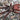 Amazonius elenae (Ecuadorian Tree Spider) 2"