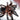 Phormictopus atrichomatus, Red Island Bird Eater tarantula.