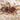 Cyriocosmus aueri, Peruvian Dwarf Redleg tarantula.