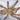 Stromatopelma calceatum (Feather-leg Baboon Tarantula)