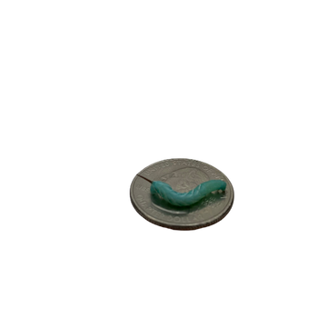 Hornworms, feeder insects.