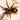 Cyriocosmus leetzi, Venezuelan Dwarf Beauty tarantula.