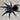 Tliltocatl schroederi, Mexican Black Velvet tarantula.