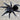 Tliltocatl (Brachypelma) schroederi (Mexican Black Velvet Tarantula) 1.5"