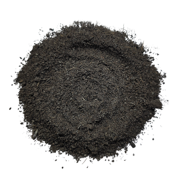 BryoBase - Moss Adhesion Layer