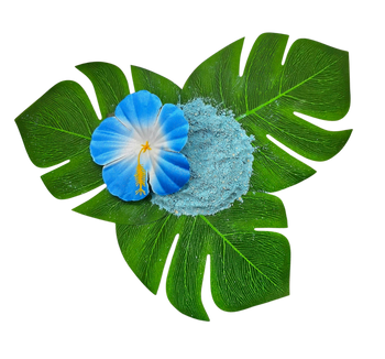 Bahama Mama Blue Fruit Fly Media