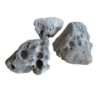 Peruvian pumice rock for drainage and hardscape.