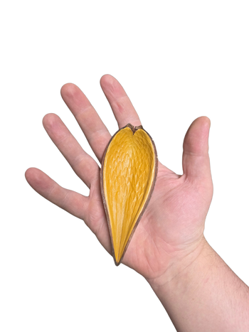 Sheathe Pod
