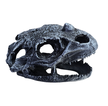 Dinosaur Skull Hide - Tarantulas, Reptiles & Amphibians
