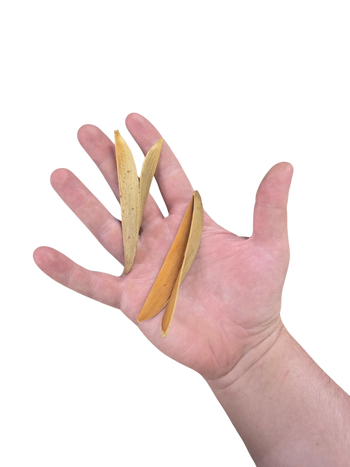 Split Petal