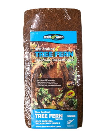 Fernwood - NZ Tree Fern Tropical Background Panel